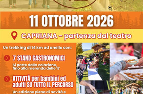 Magnatonda 2026
