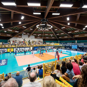 Volley