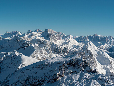 Alpi