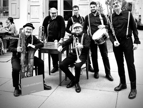 Tiger Dixie Band 1