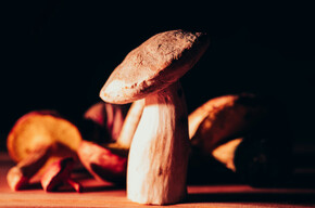 36th Mycological Exhibition