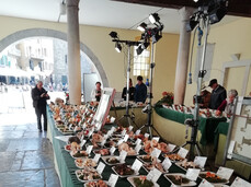 36th Mycological Exhibition