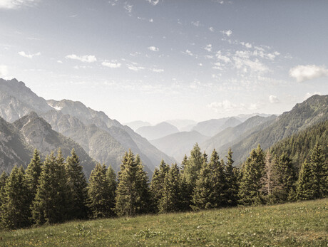 ALPIGRAFISMI: comunicare la montagna