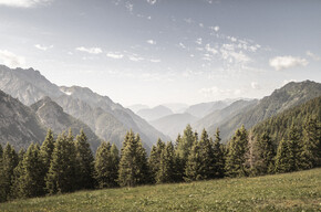 ALPIGRAFISMI: comunicare la montagna