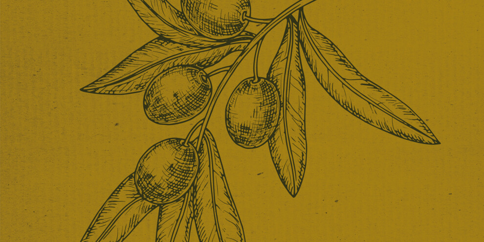 Le olive del nord