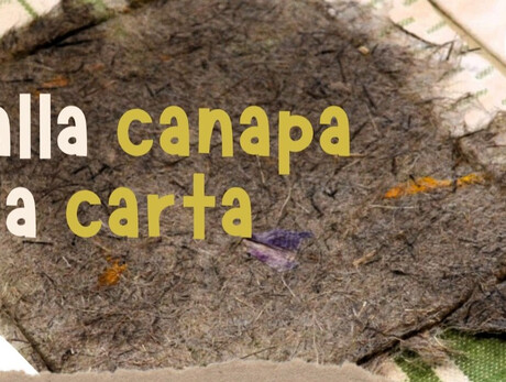 Dalla canapa alla carta