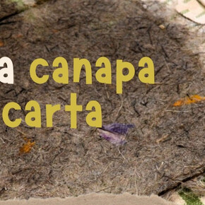 Dalla canapa alla carta