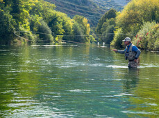 Dutch Fly Fishing Championship