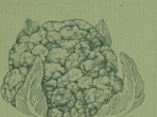 Cena del Broccolo di Torbole