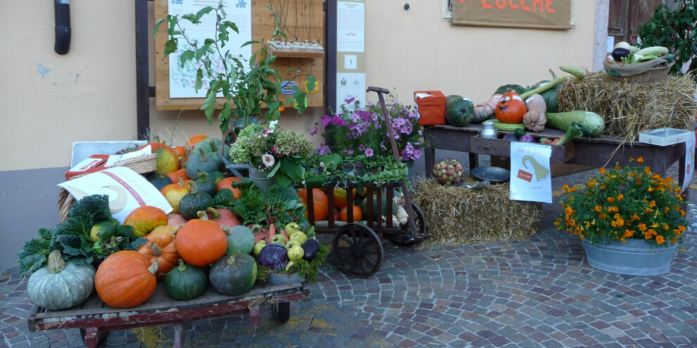 Pumpkin and Winter Vegetable Festival, Lasino