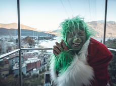 Das Grinch-Haus Das Grinch-Haus