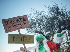 Das Grinch-Haus Das Grinch-Haus
