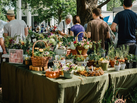 Markt in Pieve di Ledro