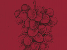 Reboro, Territorio & Passione 
