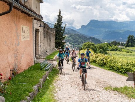 Trentino Wine Experience