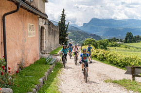 Trentino Wine Experience