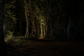 Evening walks through BoscoArteStenico