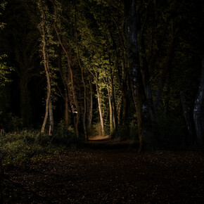 Evening walks through BoscoArteStenico