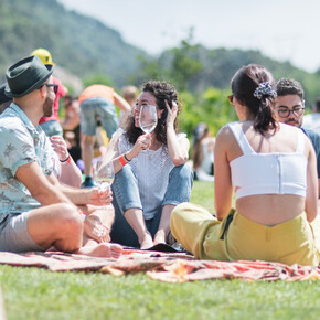 Persone sul prato che bevono un calice di vino 