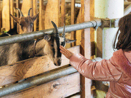 Benvenuti in fattoria