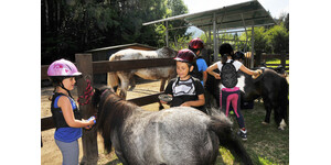 A cavallo sui laghi pinetani - Cosa fare in Trentino - Eventi A cavallo sui laghi pinetani - Cosa fare in Trentino - Eventi