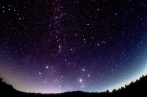 Face to face with the stars - Viote Alpine Botanical Garden