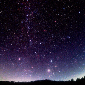 Face to face with the stars - Viote Alpine Botanical Garden