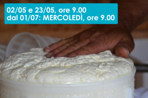 ALLA RICERCA DEL FORMAGGIO PREZIOSO