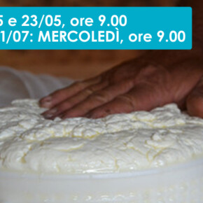 ALLA RICERCA DEL FORMAGGIO PREZIOSO