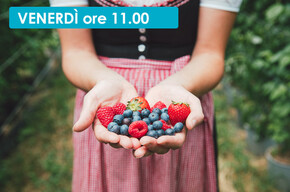 ALLA SCOPERTA DEL MASO DEI LAMPONI