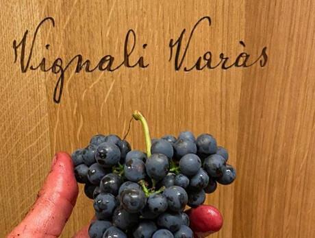 Discovering artisanal mountain wine