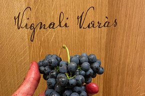 Discovering artisanal mountain wine