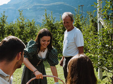 Discovering the MelaVispa