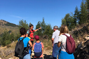 Archäologie im Sommer – Archäologische Stätte Acqua Fredda – Passo del Redebus – Bedollo
