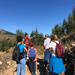 Archäologie im Sommer – Archäologische Stätte Acqua Fredda – Passo del Redebus – Bedollo