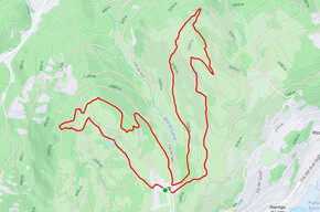 Bedolpian2Run – The Forest Relay