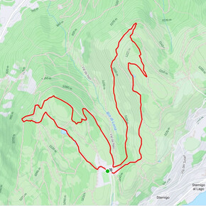 Bedolpian2Run – The Forest Relay