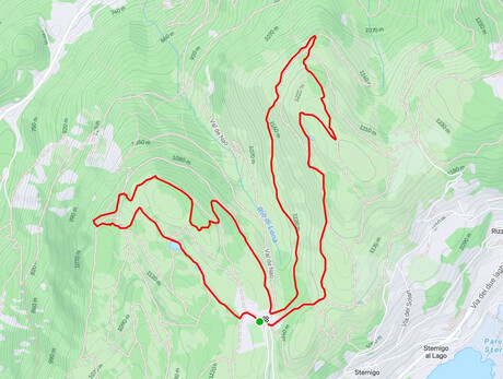 Bedolpian2Run – The Forest Relay