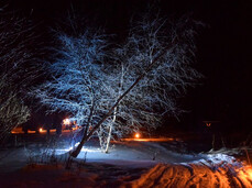 Bondonail - Night-time charity snowshoe hike