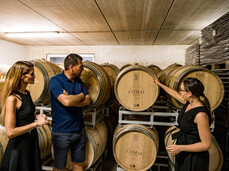 Comai Wine Experience - Vineyard, Cellar and Tasting