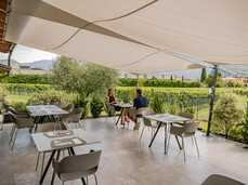 Comai Wine Experience - Vineyard, Cellar and Tasting