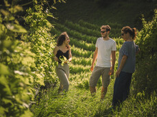 What's in the wine cellar?