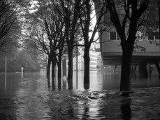 Von Trient in die Welt: Bildberichte von Giorgio Salomon