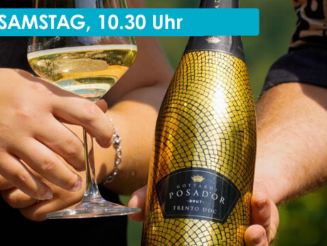 WINE TASTING AT TENUTA GOTTARDI