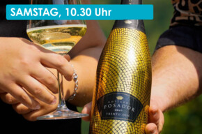 WINE TASTING AT TENUTA GOTTARDI