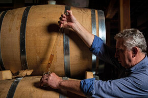 “Five senses” tasting