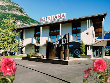 Wine tastings - Rotaliana Winery