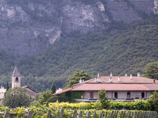 The Travel Diary - Foradori Winery