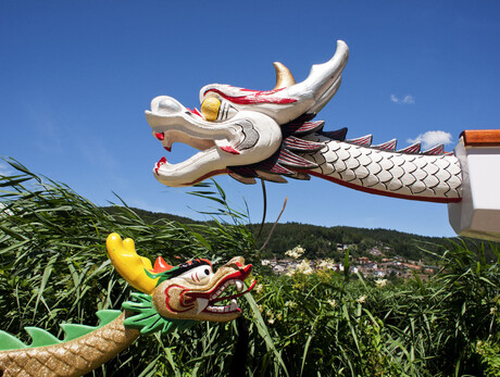 Dragon festival