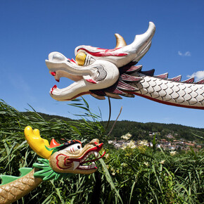Dragon festival